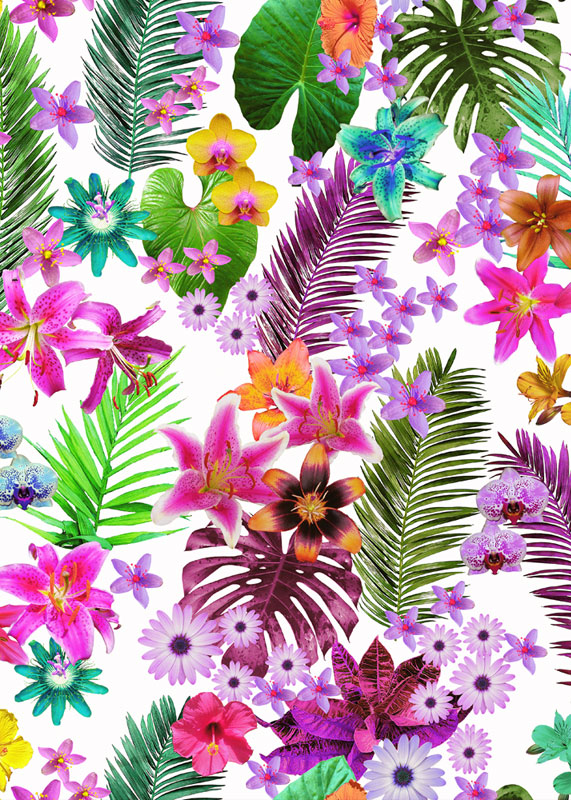 NEW-TROPICAL